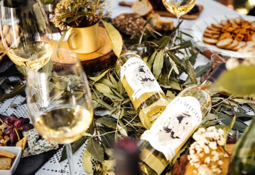 web-2-amigos-by-atico-e-lsdbpro0006_CHE6688